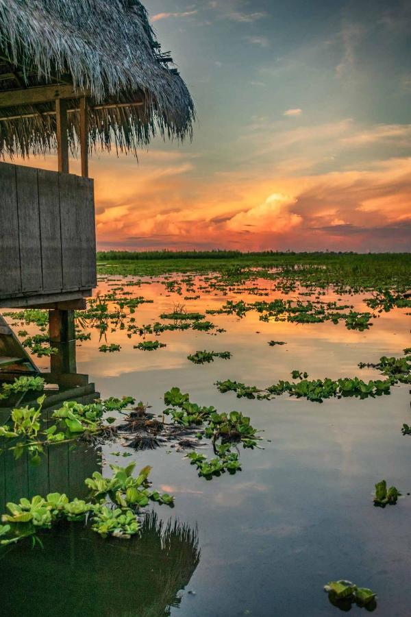 Libertad Jungle Lodge Yucuruche Eksteriør billede
