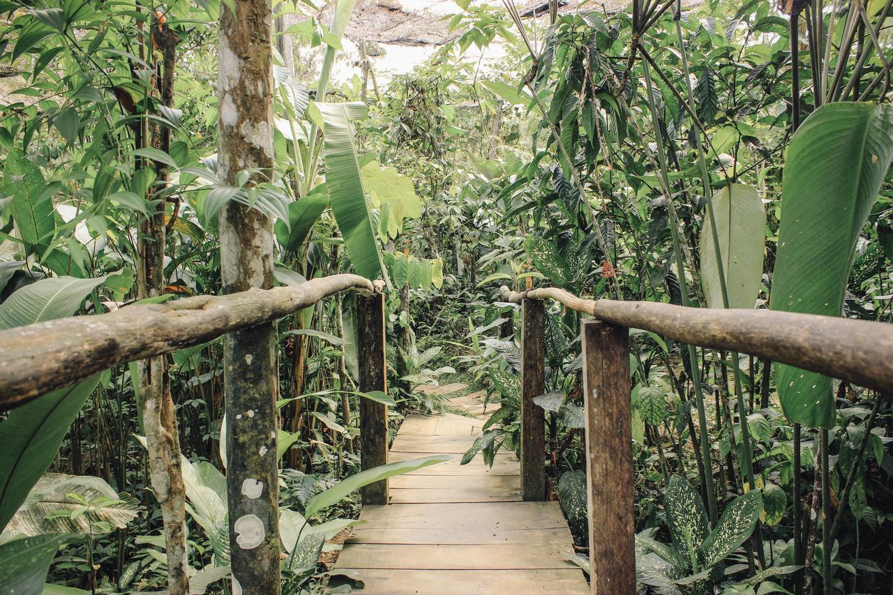 Libertad Jungle Lodge Yucuruche Eksteriør billede